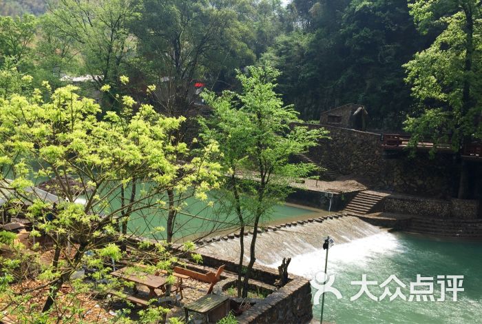 石舍香樟营地民宿-图片-桐庐县酒店-大众点评网