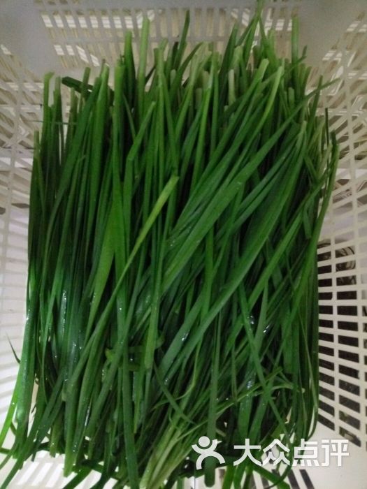 清镇豆豉火锅韭菜图片 第38张