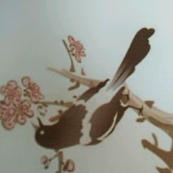 台茶1号】地址_价格_商铺_v地址电话_浏河镇面出租莱芜时间美食街图片