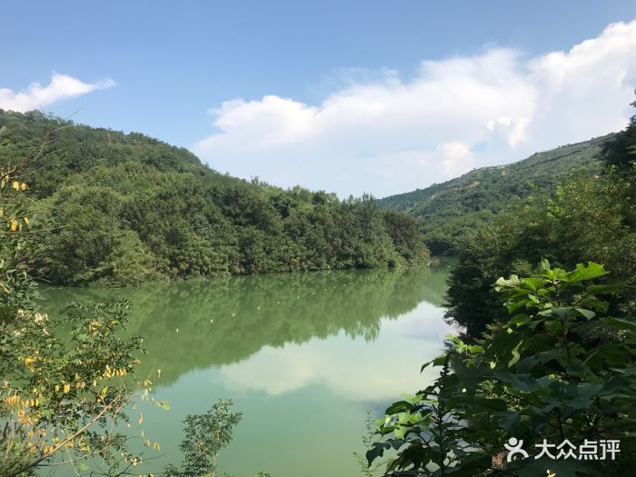 西安鲸鱼沟竹海风景区图片 第94张