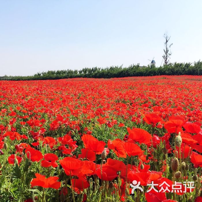 日照花仙子风景区