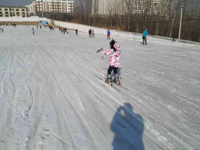 保定植物园滑雪场