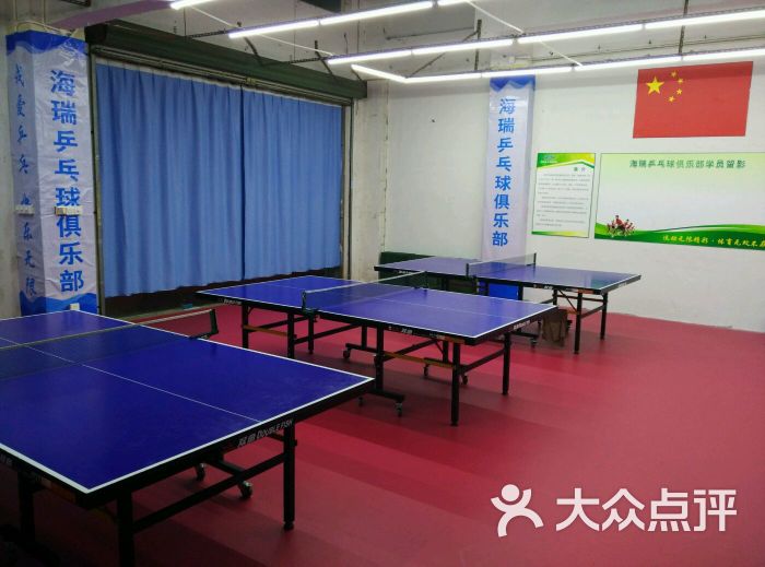 海瑞体育龙城街道乒乓球培训基地-图片-深圳运