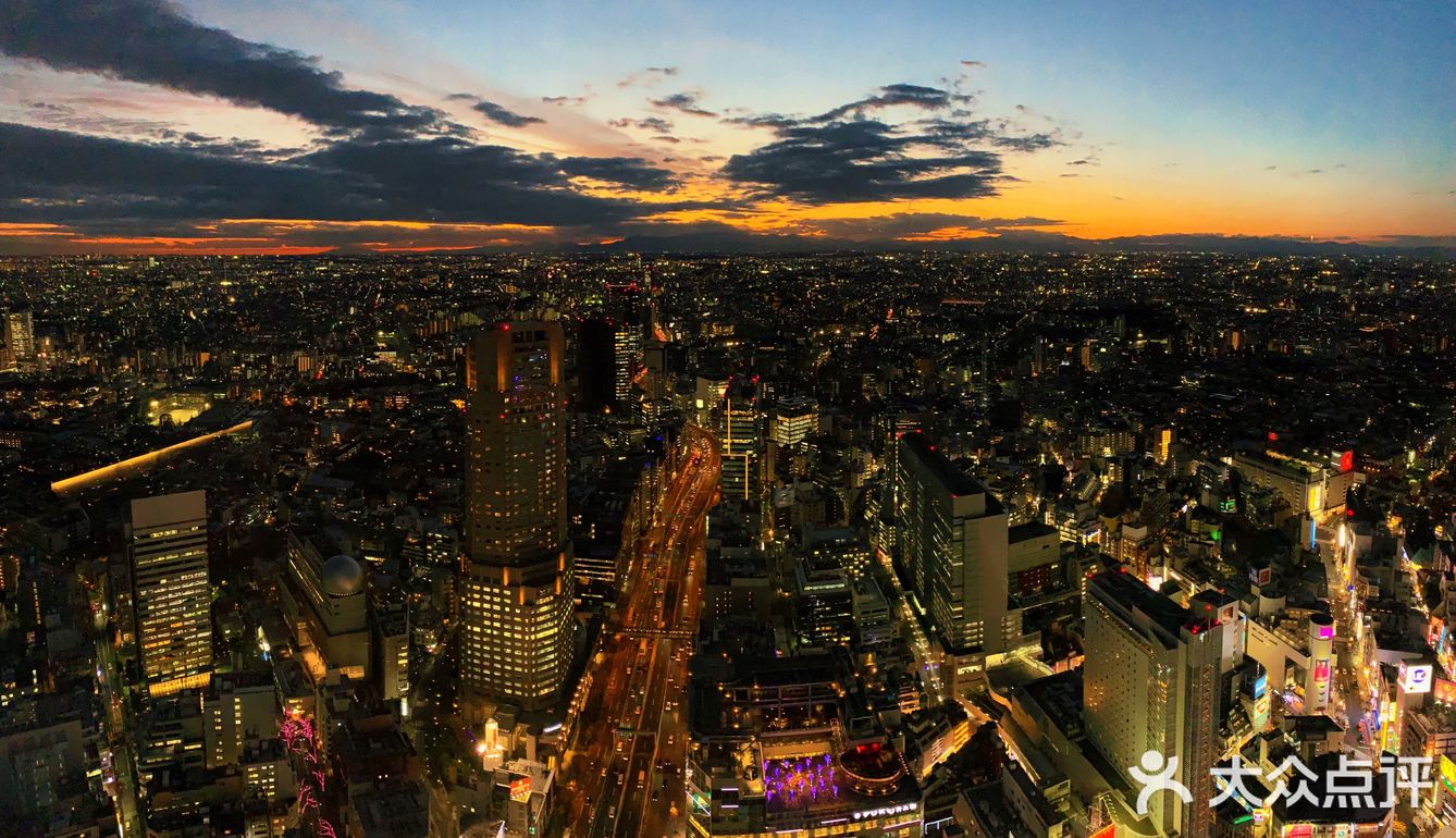 东京夜景绝佳观赏地打卡[胜利]