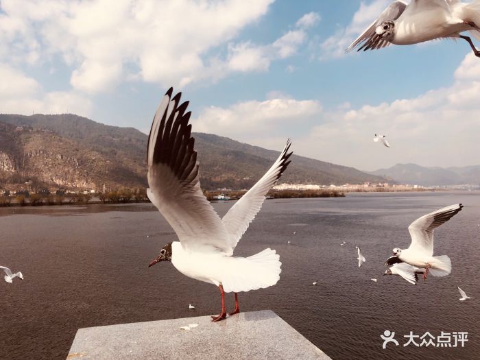 【1】有人云:试金可以用火,试女人可以.-海埂