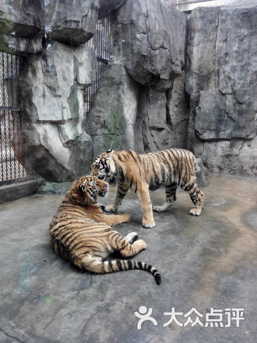 南昌新动物园-图片-南昌景点