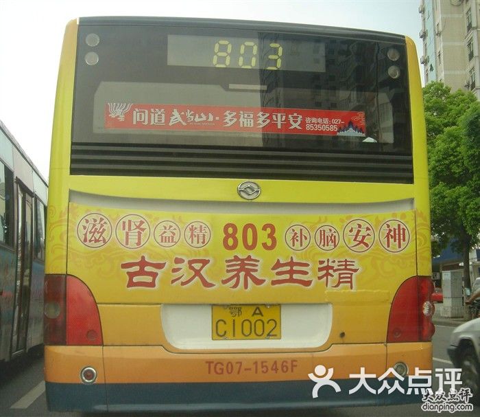 公交车(803路)-dsc01011图片-武汉生活服务-大众点评网