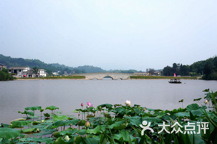 爱莲湖湿地公园-dsc06069图片-铜梁区周边游-大众点评