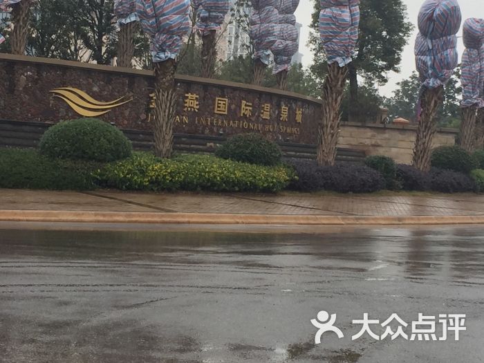 金燕国际温泉酒店图片 - 第2张