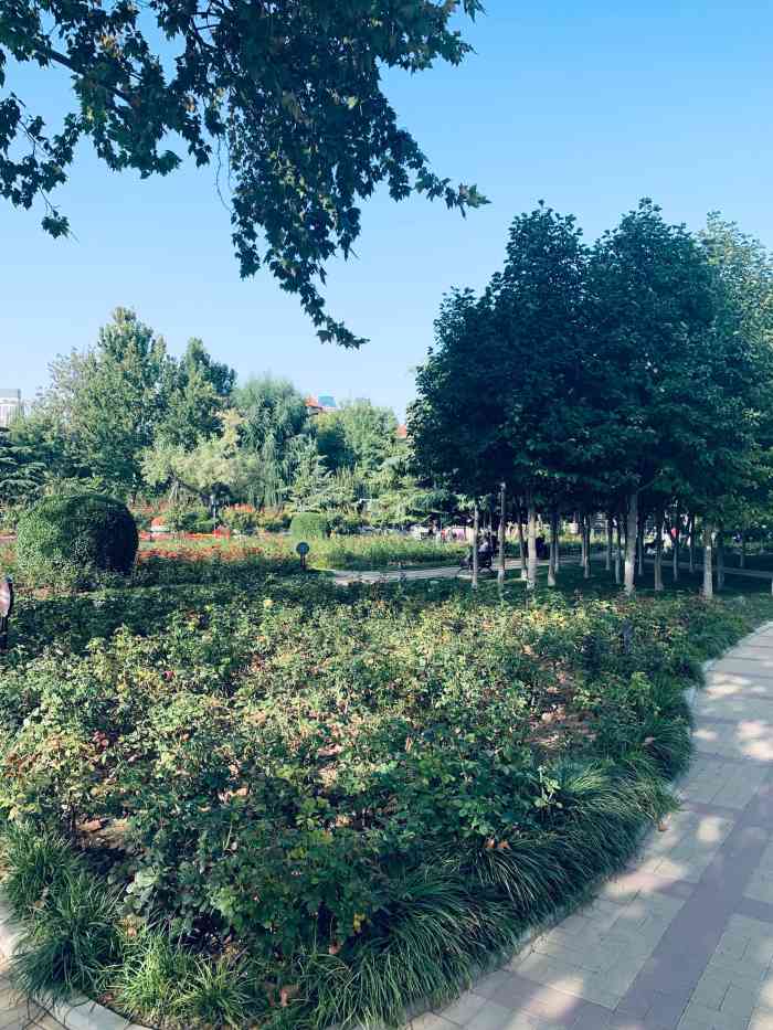 睦南公园-"睦南公园坐落于五大道中~位于岳阳道小学对