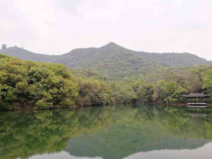 龙山水库"所谓水库,只是相当于一个大一点的水塘而己.