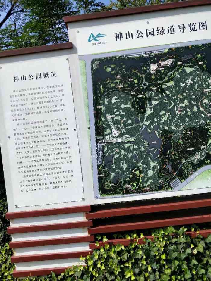 神山公园-"别再总去大龙湾沙滩了,芜湖城东也有一处沙