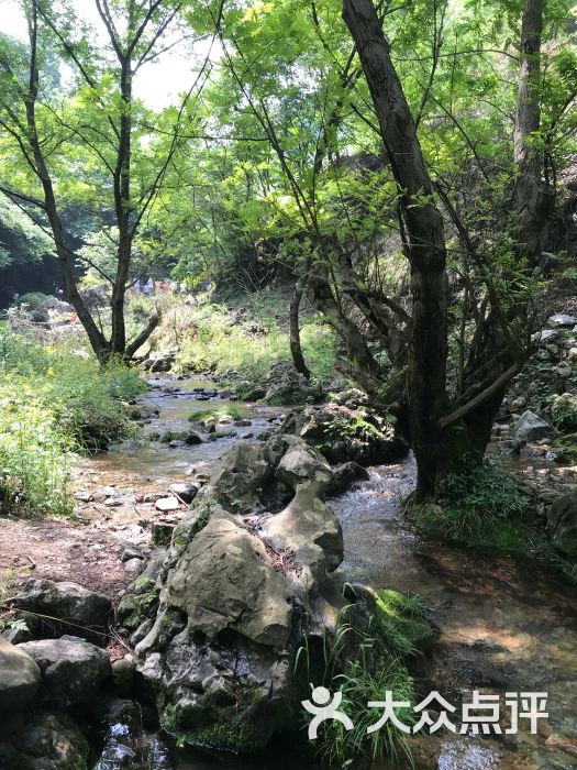 大泉沟风景区-图片-大冶市周边游-大众点评网