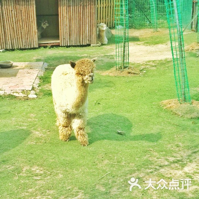 珍珠泉野生动物生态园