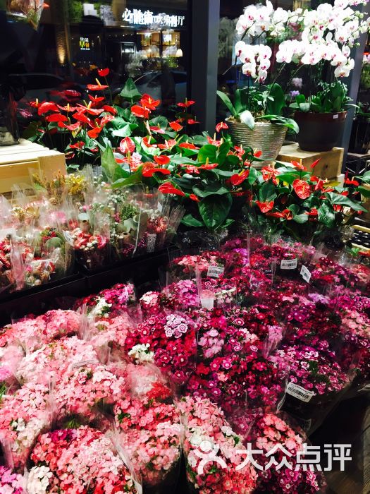 花时花季-图片-厦门购物