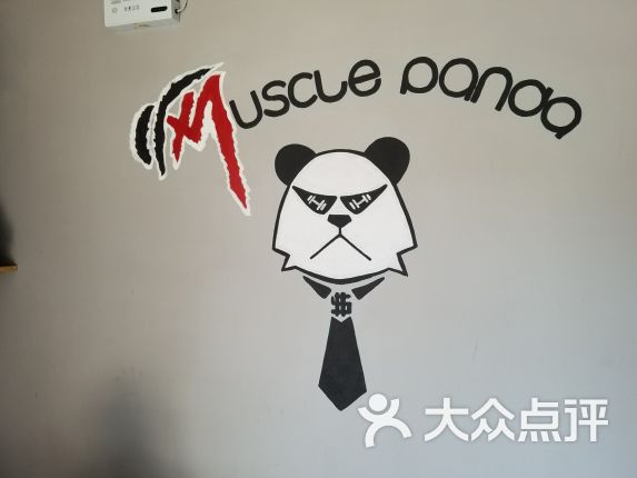 Muscle panda Fitness肌肉熊猫健身