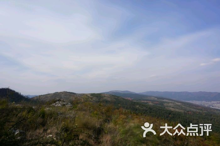 长虫山生态公园风景林没有图片 - 第3张