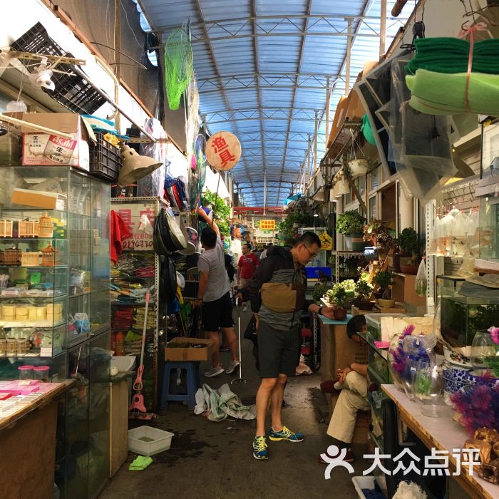 万商花鸟市场(西藏南路店)-图片-上海购物-大众点评网