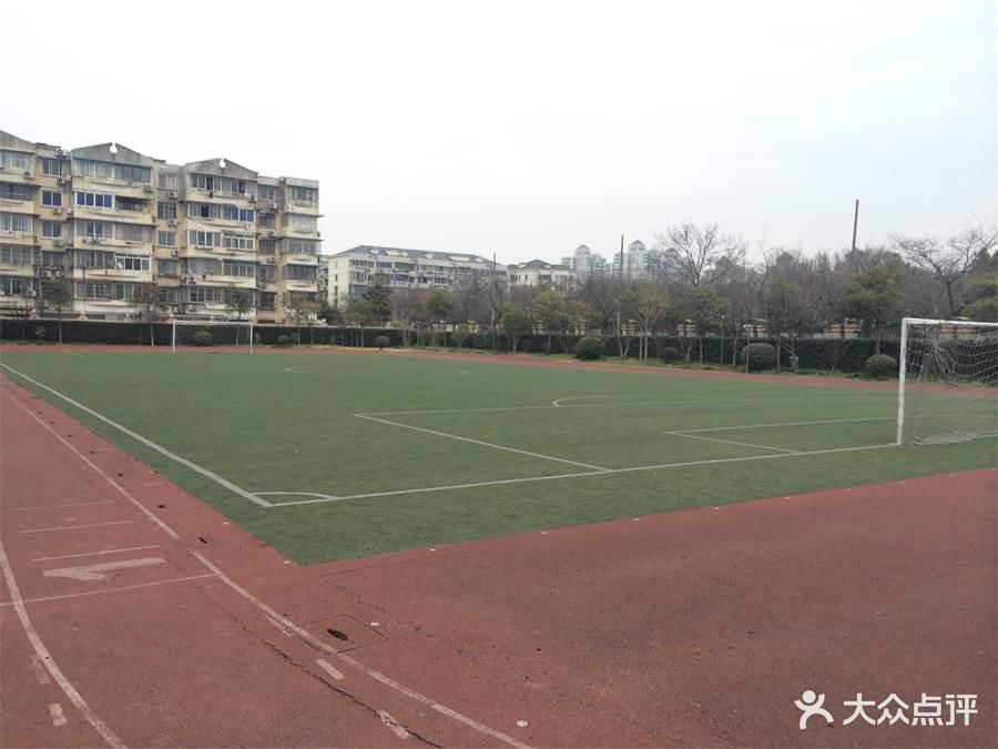 金鼎学校-金鼎学校足球图片-上海运动健身-大众点评网