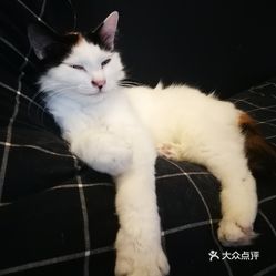 j3Lko2XlVuVfPSIglMFPFDtgolNHVuhuhQbBTPTjIQ-8aG1dF8b_gc15CDA8FaItuzFvxlbkWx5uwqY2qcjixFEuLYk00OmSS1IdNpm8K8twhW7bzr4O88Ivp4FuDG0SfCF2ubeXzk49OsGrXt_KYDCngOyCwZK-s3fqawWswzk.jpg