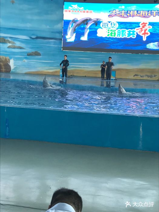 大丰港海洋世界图片 - 第1张