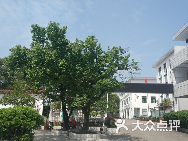 绩溪县实验小学