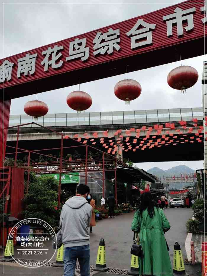 渝南花鸟综合市场(大山村)-"听说大山村有个花鸟市场