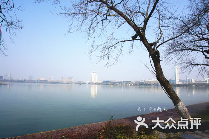 玄武湖公园图片 - 第103张
