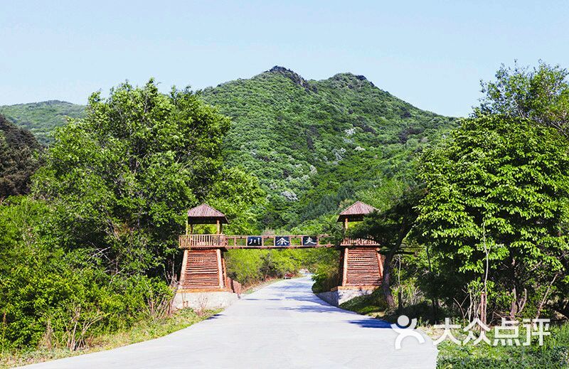 城子山风景区-图片-西丰县周边游-大众点评网