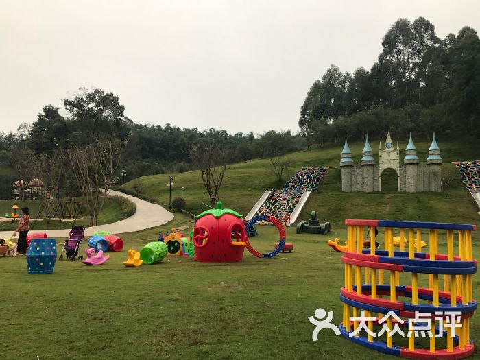 花海·桂花湖图片 - 第13张