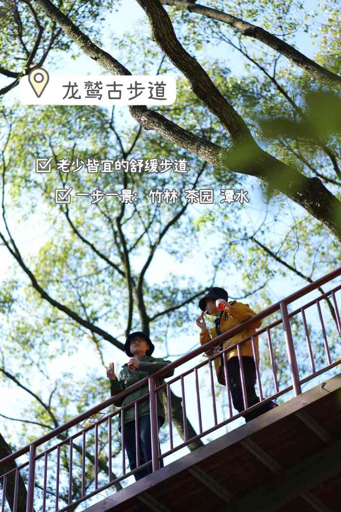 龙鹫登山步道-"龙鹫步道,不错,值得一游.停车场,公厕.