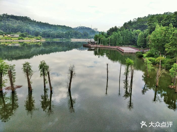 番禺大夫山森林公园旅游区图片 - 第762张