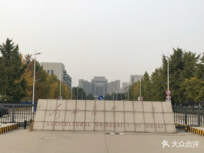 河北农业大学-图片-保定学习培训-大众点评网