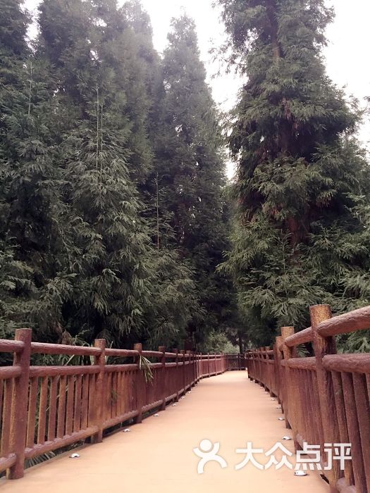 峨眉山七里坪森林栈道景区-图片-洪雅县周边游-大众_毗邻网 峨眉山七里坪森林栈道景区-图片-洪雅县周边游-大众点评网