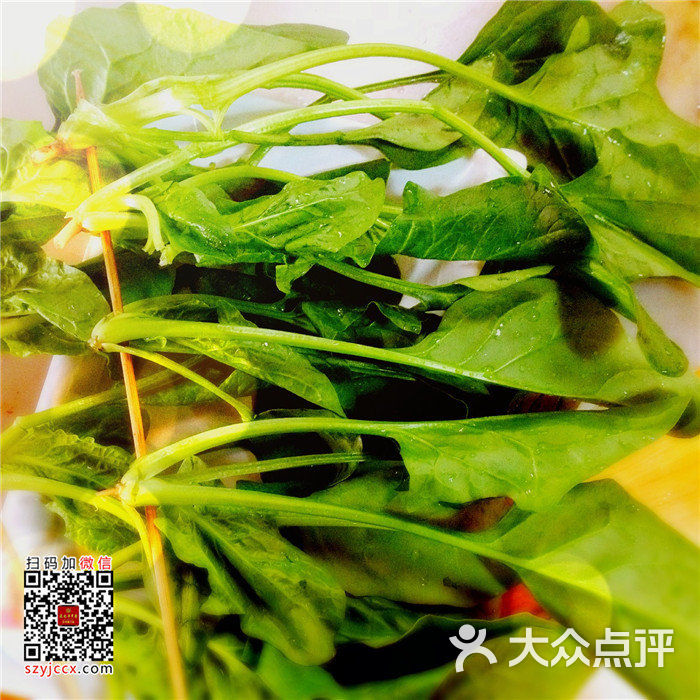 袁记串串香(莫邪路相门店)菠菜图片 - 第122张