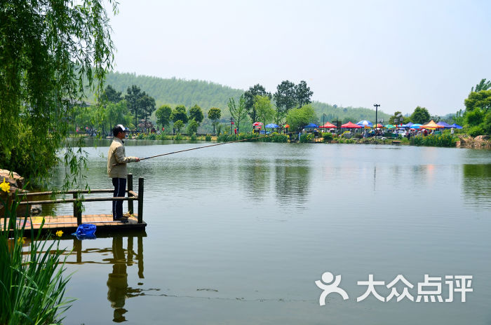 黄龙岘金陵茶文化旅游村-景点图片-南京周边游-大众