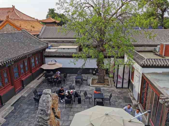 yolo与候鸟—东苑戏楼-"环境真是没的挑91 91 带.