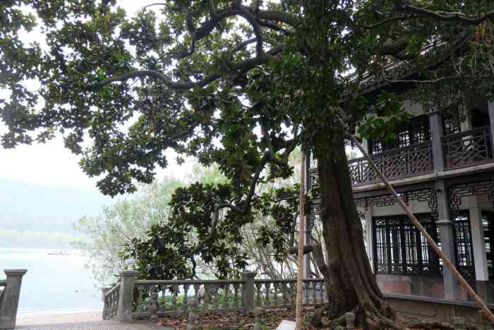 兰陔别墅-"首页报名霸王餐,免费吃喝玩乐 #无锡橙v.