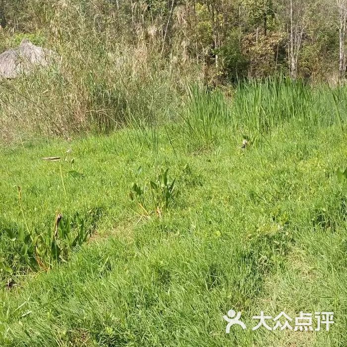 菜阳河国家森林公园