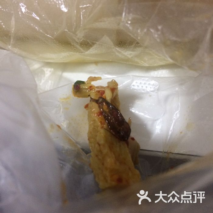 带腿的蟑螂