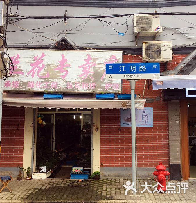 江阴路花鸟店图片 - 第18张