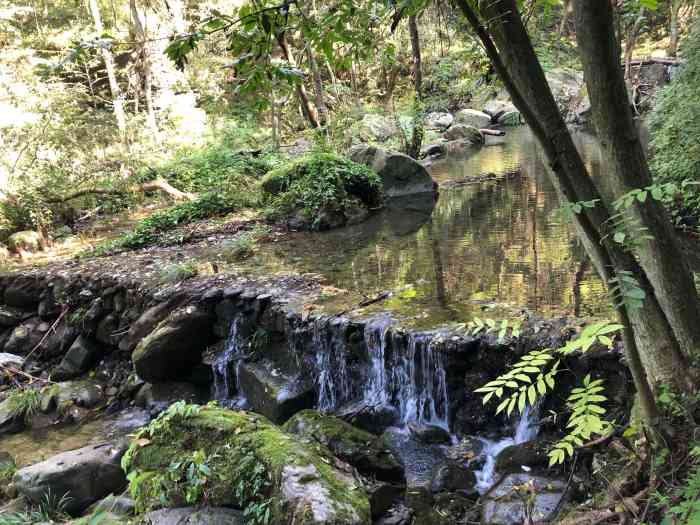 武当山南神道景区-"琴人谷追求自身的简单和丰富,用的