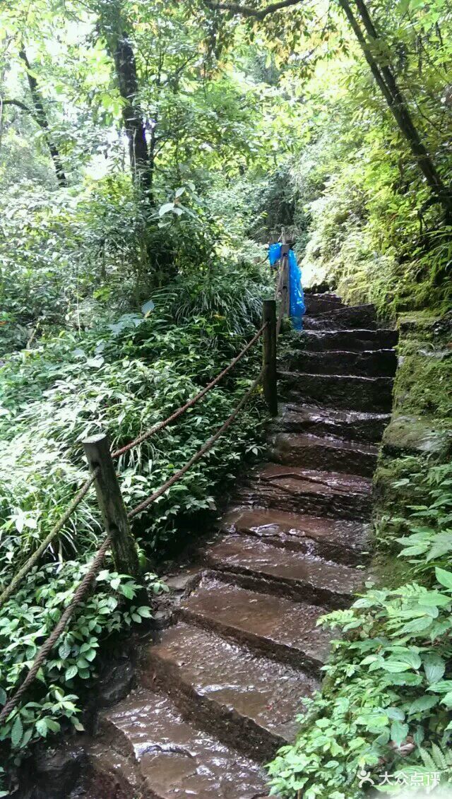 成都天台山景区图片 - 第596张