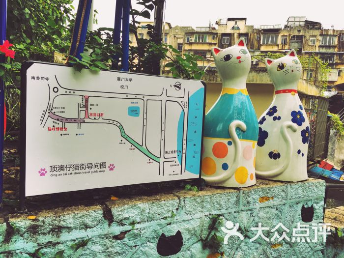 猫咪博物馆-图片-厦门周边游