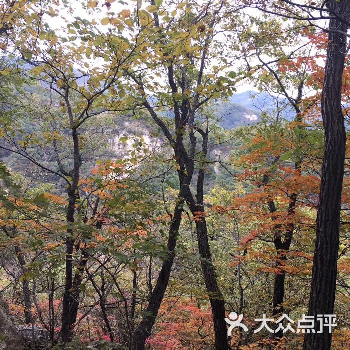 岫岩药山风景区图片-北京自然风光-大众点评网