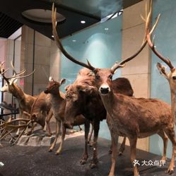 【国家动物博物馆】电话,地址,价格,营业时间(图)