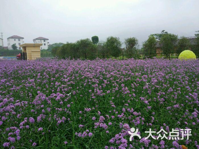 斐然生态园-图片-安义县周边游-大众点评网