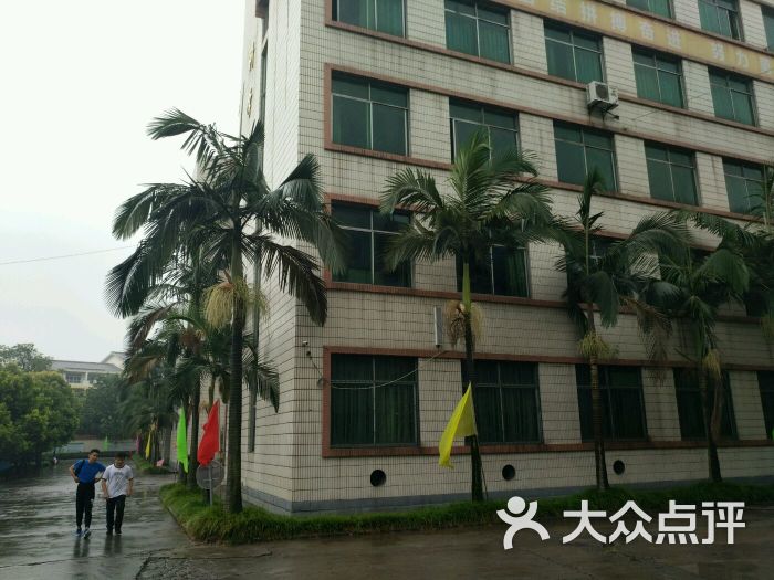 泸州市实验中学图片 - 第8张