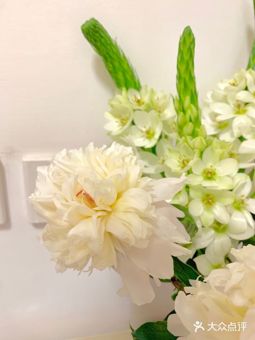 lilyflower,roseflower lily flower(沃尔玛店)图片