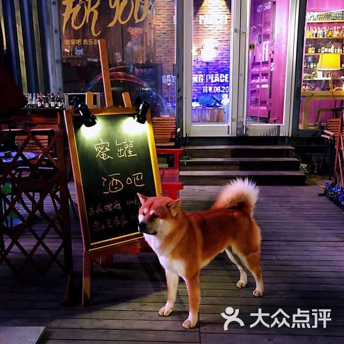 蜜罐熊酒吧